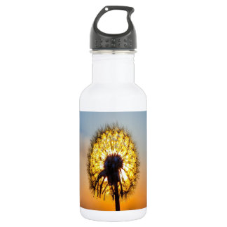 Dandelion at Sunrise Stainless Steel Water Bottle