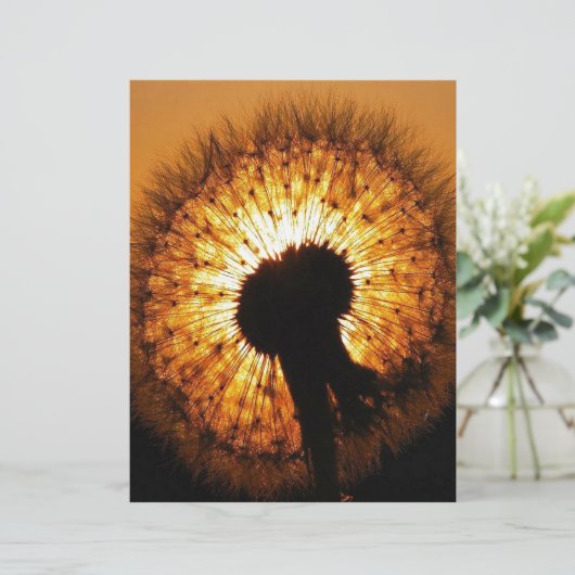 Dandelion at Sunset (Standing Front)