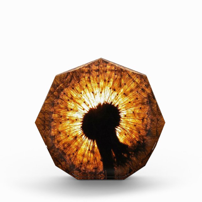 Dandelion at Sunset Award (Front)