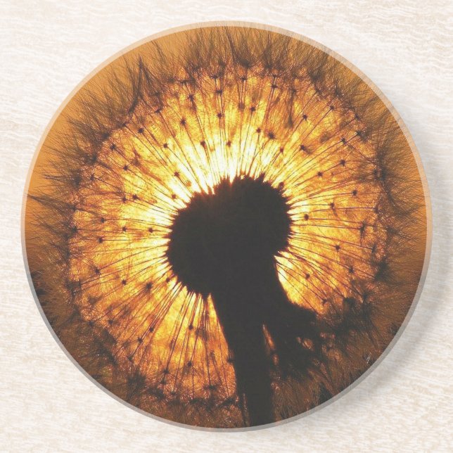 Dandelion at Sunset Coaster (Front)