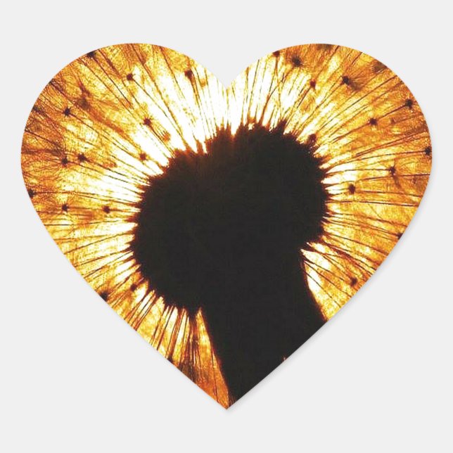 Dandelion at Sunset Heart Sticker (Front)