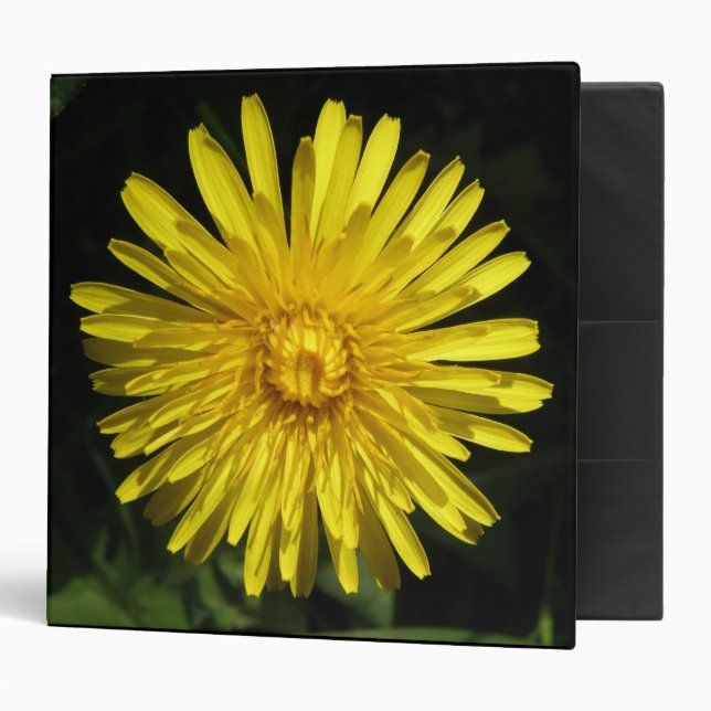 Dandelion Avery Binder (Front/Inside)
