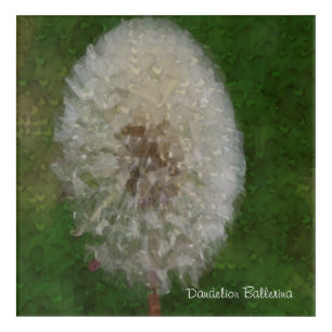 Dandelion Ballerina Canvas Print Acrylic Print