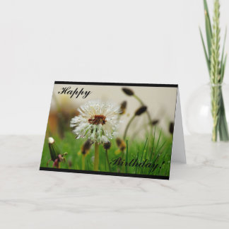 Dandelion Birthday Card
