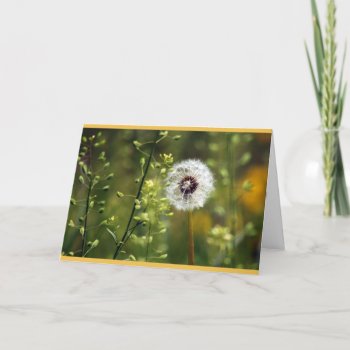 Dandelion Birthday Wishes Card by Considernature at Zazzle