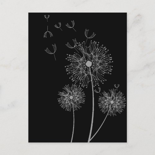 Dandelion black and white modern floral art postcard