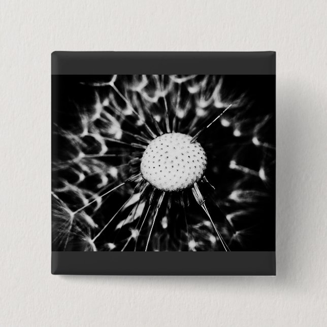 dandelion blacq pinback button (Front)