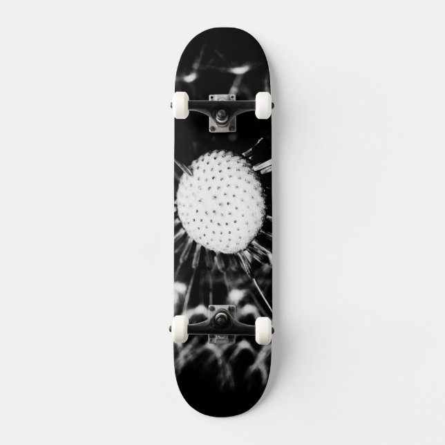 dandelion blacq skateboard (Front)