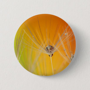 Dandelion Blossoms Flowers Destiny Peace Love Art Button