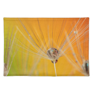 Dandelion Blossoms Flowers Destiny Peace Love Art Cloth Placemat