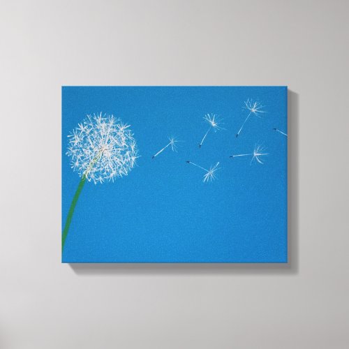 Dandelion Blowing in the Wind Canvas Print