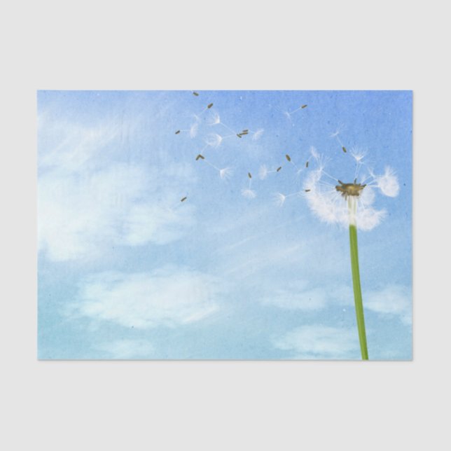 Dandelion Blue Sky Nature Illustration Tissue Paper (Front)