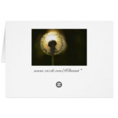 Dandelion Bulb Cards (Back Horizontal)