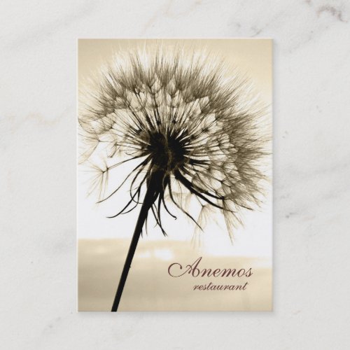 dandelion business card