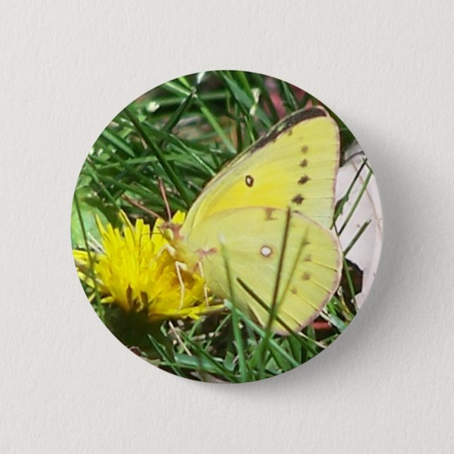 Dandelion Butterfly Button (Front)