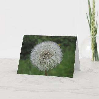 dandelion card