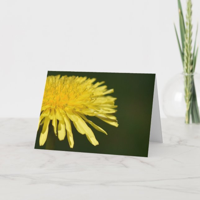 Dandelion, card (Front)