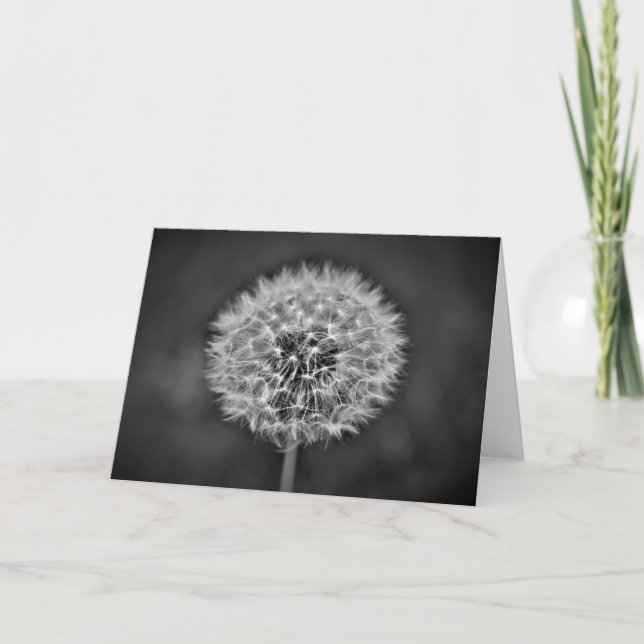 Dandelion, card (Front)