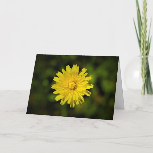 Dandelion, card (Front)