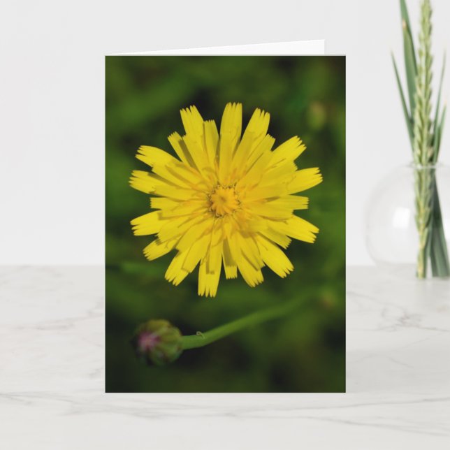 Dandelion, card (Front)
