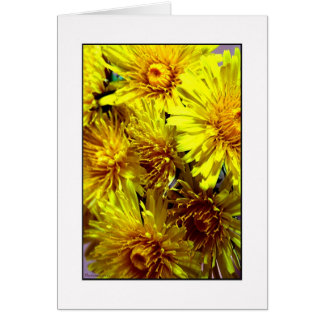 Dandelion Cards