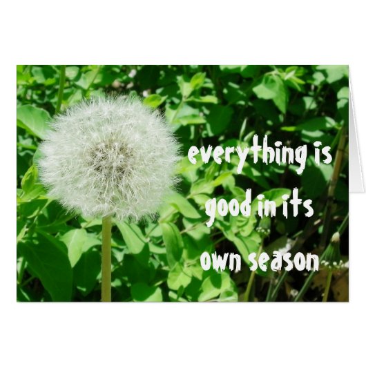 Dandelion Cards (Front Horizontal)