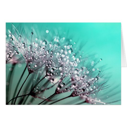 Dandelion Cards (Front Horizontal)