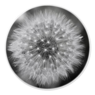 Dandelion Ceramic Knob