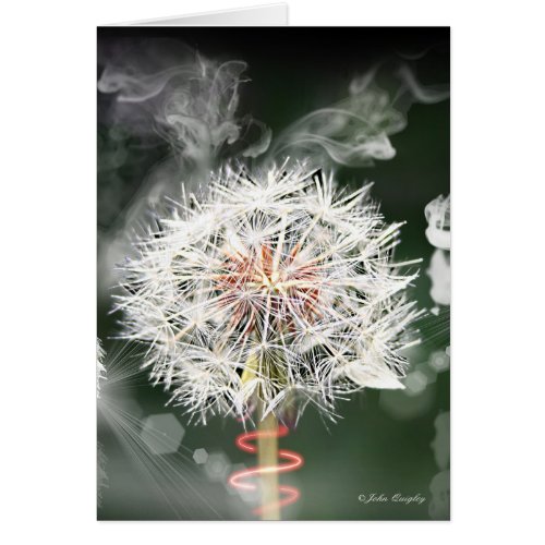 Dandelion Clock