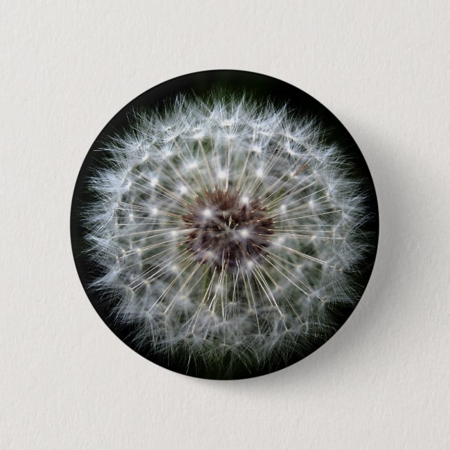 Dandelion Clock badge/button Pinback Button (Front)