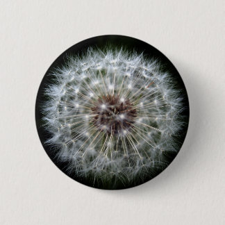 Dandelion Clock badge/button Pinback Button