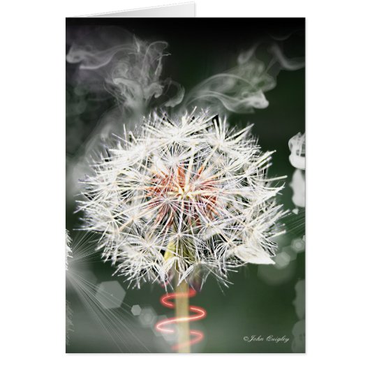 Dandelion Clock Cards (Front)