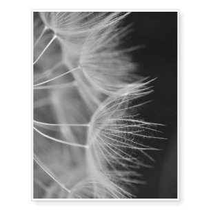 Dandelion Closeup in Black White Temporary Tattoos