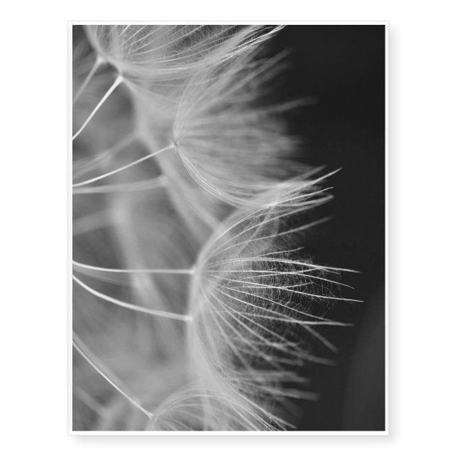 Dandelion Closeup in Black White Temporary Tattoos (Front)