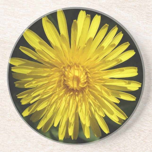 Dandelion Coasters (Front)