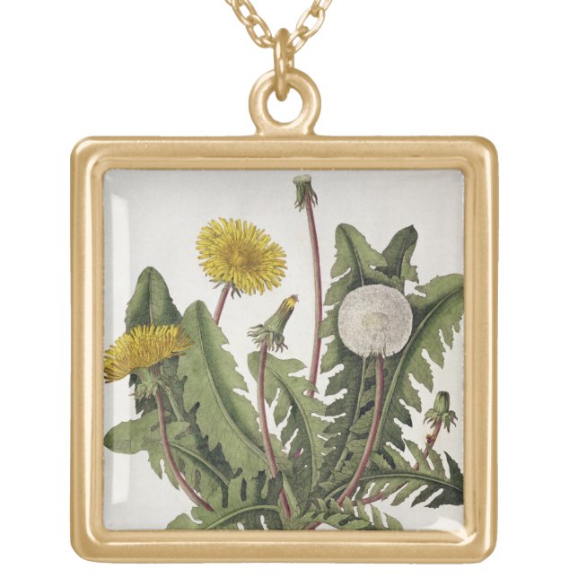 Dandelion (colour engraving) gold plated necklace (Front)