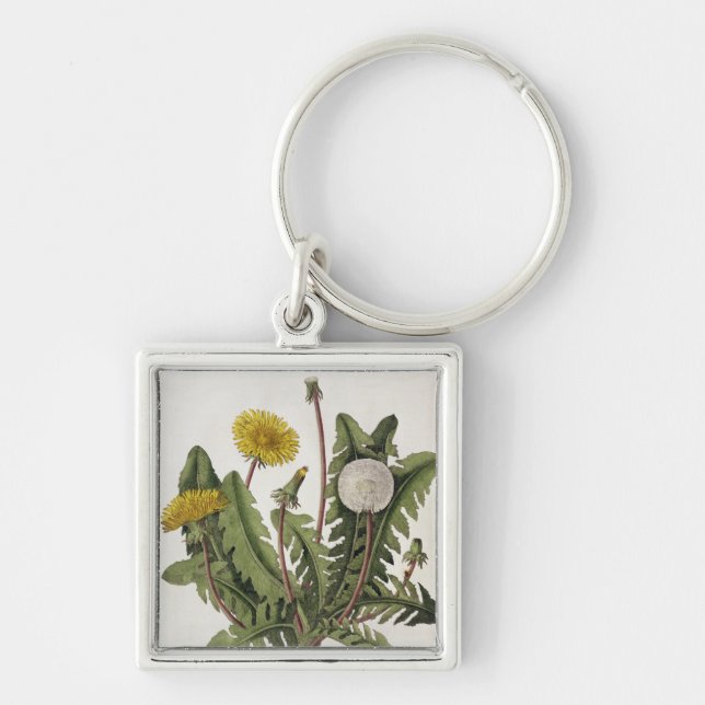 Dandelion (colour engraving) keychain (Front)