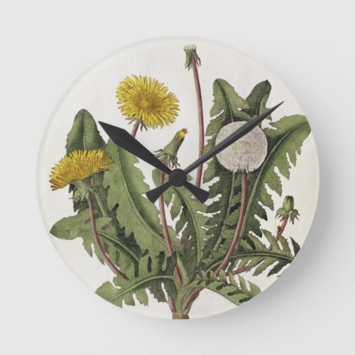 Dandelion colour engraving round clock