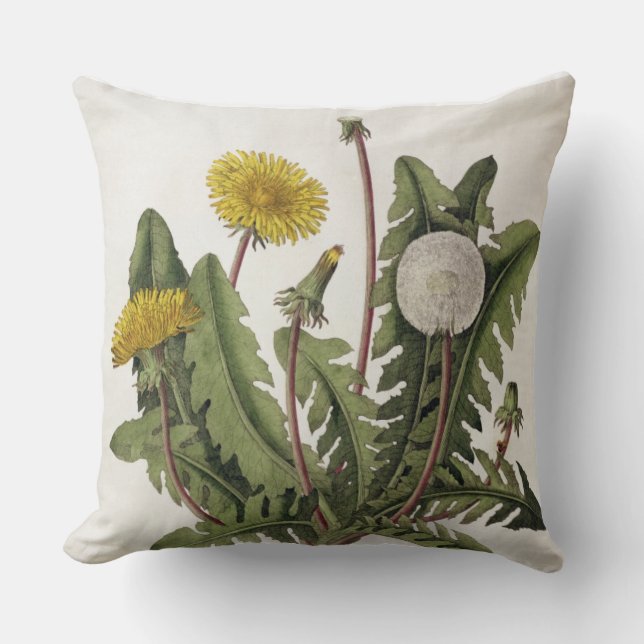 Dandelion (colour engraving) throw pillow (Front)