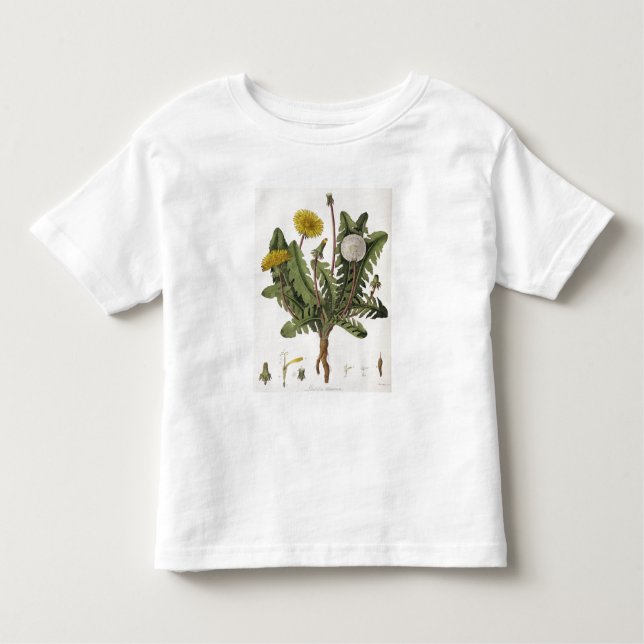 Dandelion (colour engraving) toddler t-shirt (Front)
