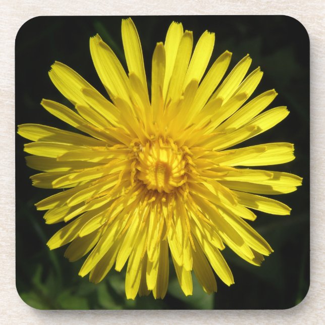 Dandelion Cork Coaster (Front)
