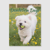 Dandelion Days (Front)