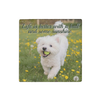 Dandelion Days Stone Magnet