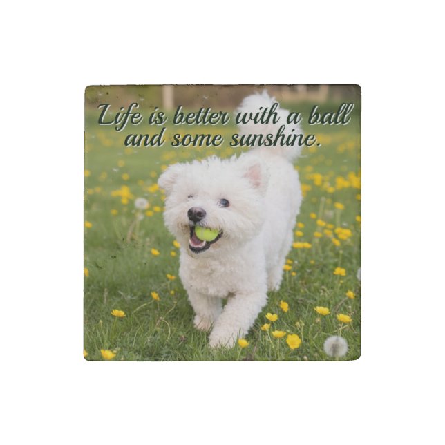 Dandelion Days Stone Magnet (Front)