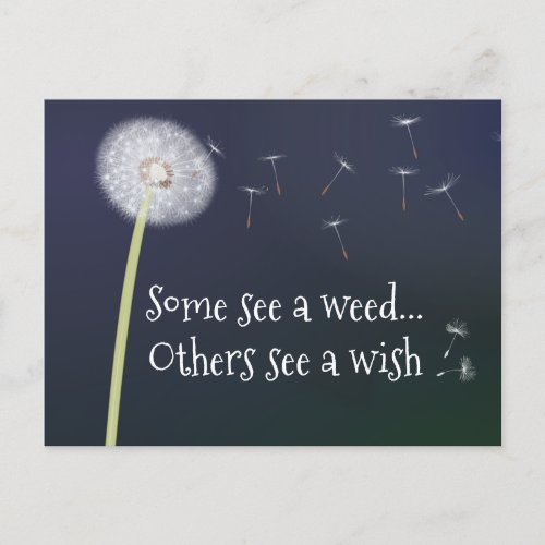 Dandelion Design Postcard