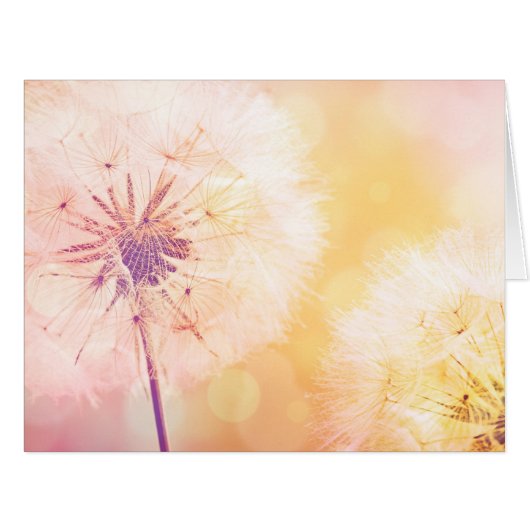 Dandelion Dreams Cards (Front Horizontal)