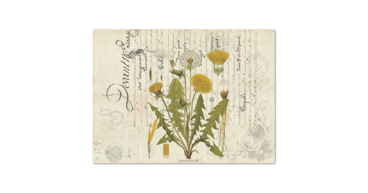 Dandelion Ephemera Landscape Decoupage Tissue Shee Tissue Paper | Zazzle