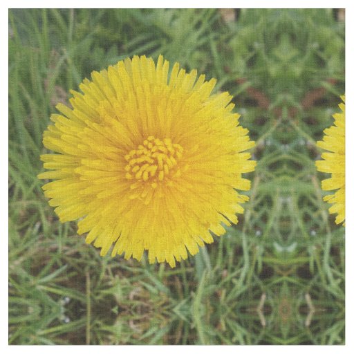 Dandelion Fabric