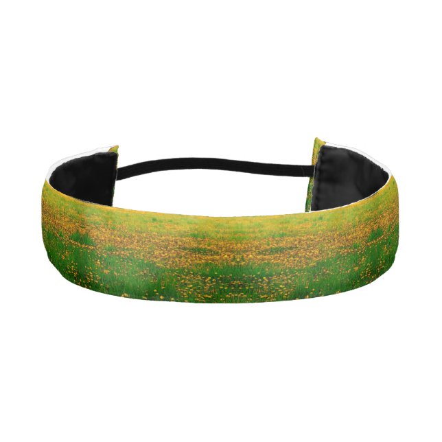 Dandelion Field Headband (Front)