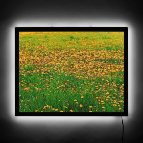 Dandelion Field Illuminated Sign